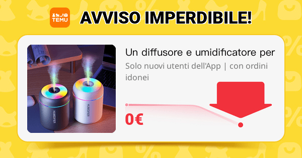 Regalo temu